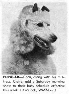 Co Co of Claire and Co Co (From The Sunday Star TV Magazine, September 1966 )(Donated by Jack Maier)